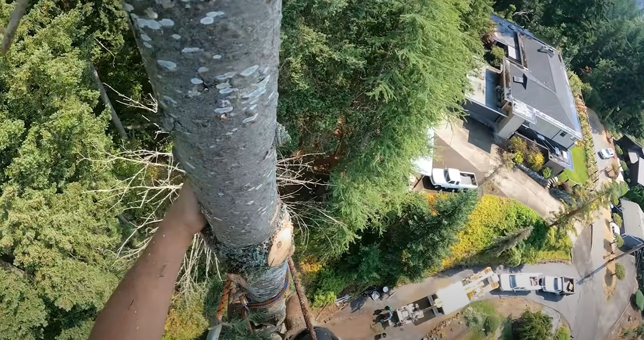 Emergency tree removal and storm damage response in El Monte, CA