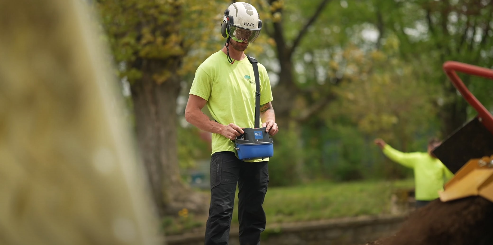 Tree health assessment and maintenance by certified arborists in El Monte, CA