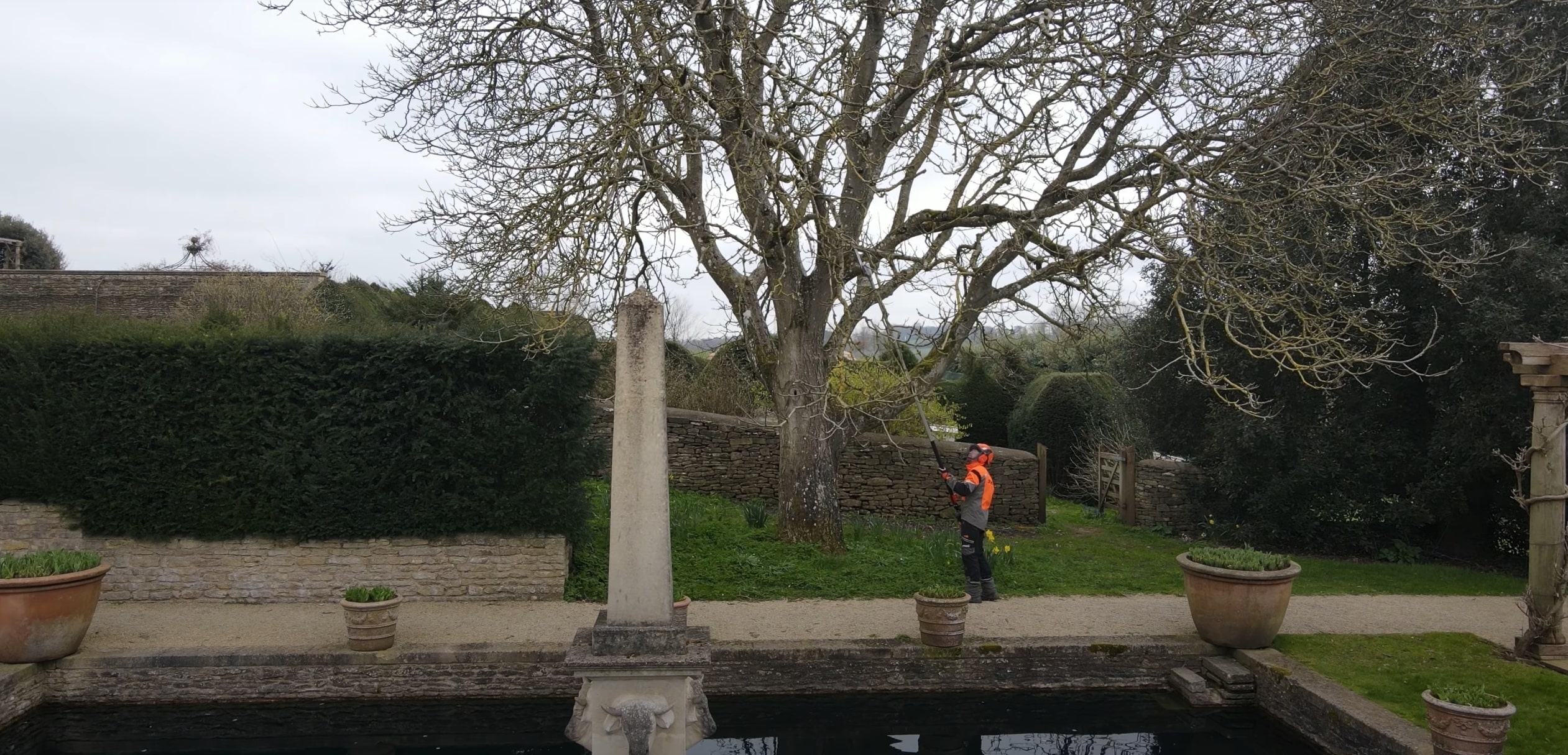 Expert tree trimming and pruning service in El Monte, CA